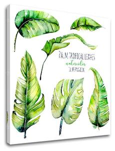 Tablouri canvas cu text Palm tropical leaves