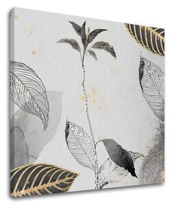 Tablouri canvas PLANTE 002
