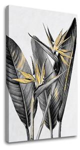 Tablouri canvas PLANTE 003