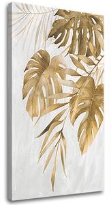 Tablouri canvas PLANTE 016