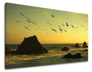Tablouri canvas APUS DE SOARE ZS008E11