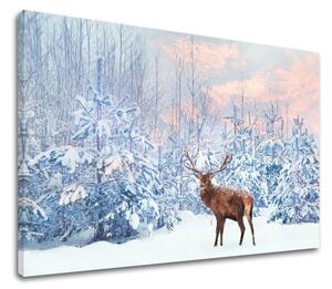 Tablouri canvas ANIMALELE_053 - 11