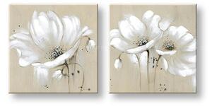Tablouri canvas FLORI FB089E2
