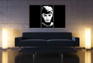 Tablou pictat manual POP Art Audrey HEPBHURN 3 - piese
