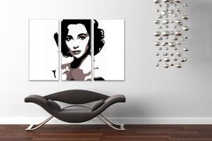 Tablou pictat manual POP Art Elizabeth Taylor 3 - piese
