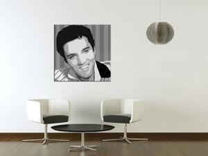 Tablou pictat manual POP ART Elvis Presley 1 - piese