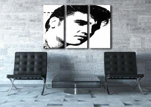 Tablou pictat manual POP Art ELVIS 3 - piese