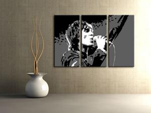 Pictat manual POP Art pictura Ian Brown 3 bucăți ib2