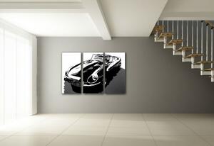 Tablou pictat manual POP Art JAGUAR 3 - piese