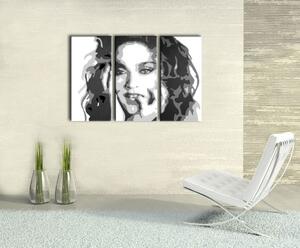 Tablou pictat manual POP Art MADONNA 3 - piese