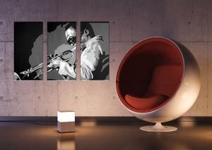 Tablou pictat manual POP Art Miles Davis 3 - piese