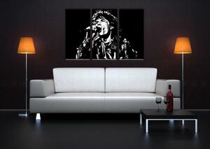 Tablou pictat manual POP Art Mick Jagger 3 - piese