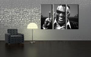 Tablou pictat manual POP Art Ray Charles 3 - piese