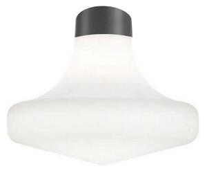 Ideal Lux - Plafonieră pentru exterior CLIO, 1xE27, 42W, 230V, IP44, antracit