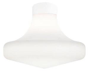 Ideal Lux - Plafonieră de exterior CLIO 1xE27/42W/230V IP44 albă