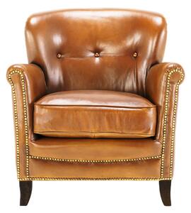 Fotoliu din piele Sinonym DarkBrown