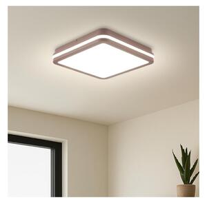 Brilagi - LED Plafonieră de exterior BENE LED/24W/230V 26x26 cm maro IP54