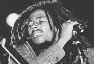 Fotografie Bob Marley Performs On Stage, Express Newspapers