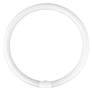 Tub fluorescent economic Fulgur s-03107 T5 G10q/38W/230V 2700K d. 30,5 cm