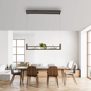 JUST LIGHT. GmbH Lampă suspendată LED Sontura, negru, fier, raft decorativ, Negru, Camera de zi / sufragerie, Metal, Modern