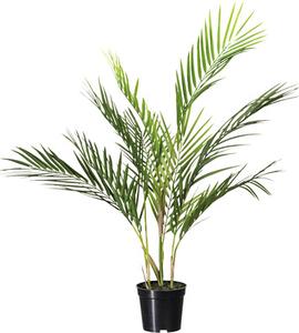 Palmier artificial Howea kentia H 70 cm verde