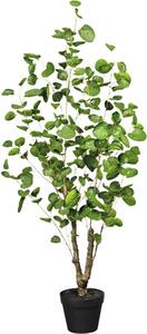 Plantă artificială Polyscias în ghiveci H 110 cm verde