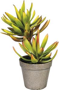 Plantă artificială Aloe Plicatilis în ghiveci H 30 cm verde