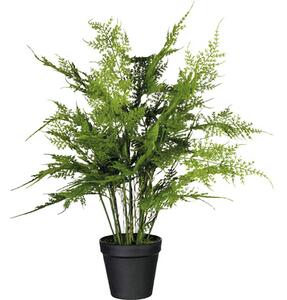 Plantă artificială Ferigă Asparagus setaceus în ghiveci H 40 cm