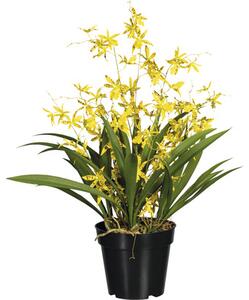 Plantă artificială Oncidium dancing queen în ghiveci H 60 cm galben