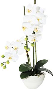 Plantă artificială Orhidee fluture Phalaenopsis în ghiveci H 50 cm alb