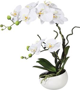Plantă artificială Orhidee fluture Phalaenopsis în vas H 42 cm alb