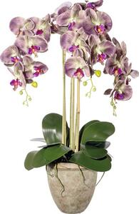 Plantă artificială Orhidee fluture Phalaenopsis în vas H 75 cm roz