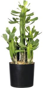 Plantă artificială Euforbia în ghiveci H 40 cm verde