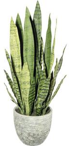 Plantă artificială Limba soacrei Sanseveria în ghiveci H 80 cm verde