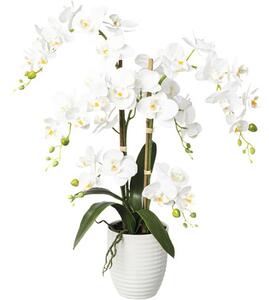 Plantă artificială Orhidee fluture Phalaenopsis în ghiveci H 67 cm alb