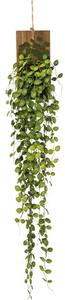 Plantă artificială Muehlenbeckia H 123 cm verde