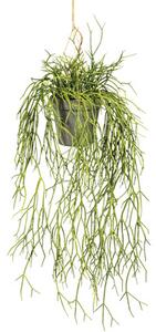 Plantă artificială Rhipsalis suspendat H 60 cm verde