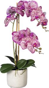 Plantă artificială Orhidee fluture Phalaenopsis în vas H 60 cm roz