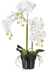 Plantă artificială Orhidee fluture Phalaenopsis în ghiveci H 62 cm alb