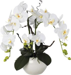 Plantă artificială Orhidee fluture Phalaenopsis în ghiveci H 55 cm alb