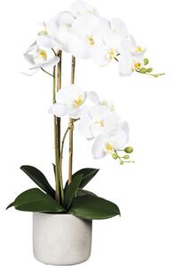 Plantă artificială Orhidee fluture Phalaenopsis în vas H 60 cm alb