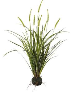 Plantă artificială Iarbă Miscanthus H 75 cm verde