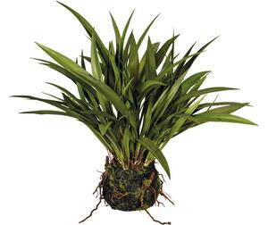 Plantă artificială Iarbă Miscanthus H 35 cm verde