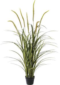 Plantă artificială Miscanthus în ghiveci H 135 cm verde