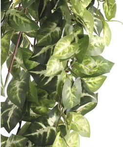 Plantă artificială, Syngonium, L 80 cm, verde