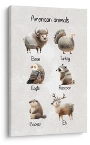 Tablou animale americane în ilustrație