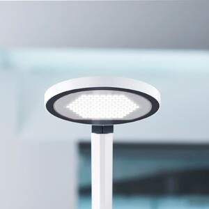 Waldmann Lampă de masă cu LED PARA.MI FTL 102 R alb 930, reglabil, Alb, Studiu / Birou, Metal