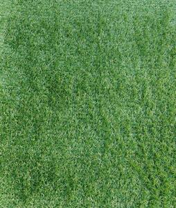 JAKARTA, Covor Gazon Iarba Artificiala, Verde, 20 mm, Latime 1 m