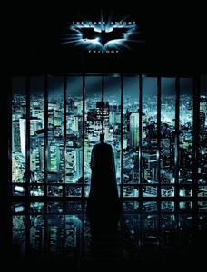 Poster de artă The Dark Knight Trilogy - Night City, (26.7 x 40 cm)