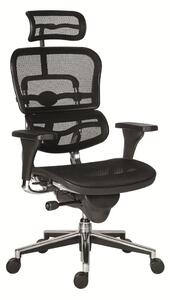 Scaun de birou Ergohuman, negru